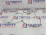 Антенна Toyota Corolla 8630012860