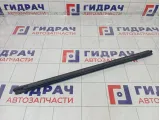 Уплотнитель стекла заднего левого Toyota Corolla 6817402210