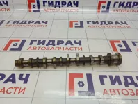 Распредвал выпускной Toyota Corolla Verso (AR10) 135020D021