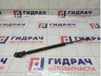 Амортизатор крышки (двери) багажника правый Toyota Corolla Verso 689500F031