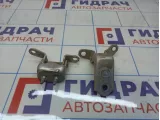 Петли двери задней правой Toyota Land Cruiser (J100)