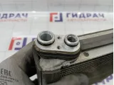 Испаритель кондиционера Toyota Land Cruiser Prado (J120) 8705060171