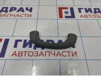 Ручка внутренняя потолочная Toyota Land Cruiser Prado (J120) 74603-60010-B0