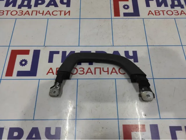 Ручка средней стойки правая Toyota Land Cruiser Prado (J120) 74620-60050-B1