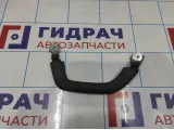 Ручка средней стойки левая Toyota Land Cruiser Prado (J120) 74630-60050-B1