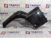 Накладка заднего крыла левого Toyota Land Cruiser Prado (J120) 75654-60020-C0