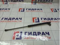 Амортизатор крышки (двери) багажника правый Toyota Prius 689500W431
