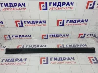 Обшивка багажника на заднюю панель Toyota RAV4 (XA30) 58387-42050-B0