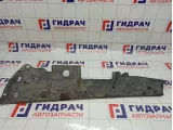 Защита антигравийная Toyota RAV4 (XA30) 50819-42010