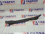 Пыльник переднего левого крыла Toyota RAV4 (XA30) 53828-42060