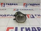 Фара противотуманная левая Toyota RAV4 (XA30) 81220-0D041