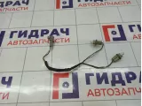 Проводка фонарей подсветки номера Toyota RAV4 (XA30) 81275-42080