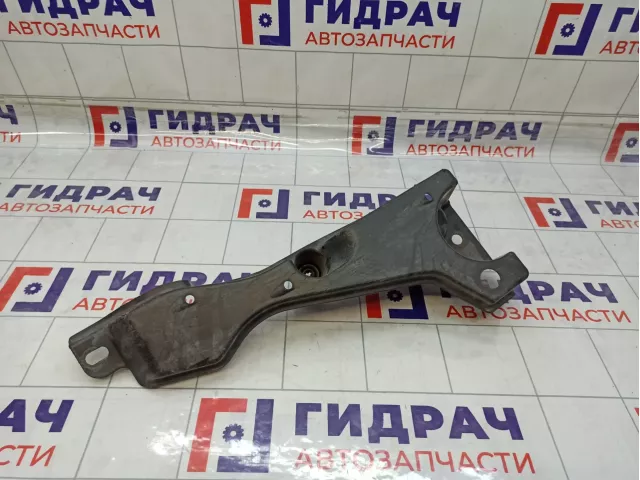 Защита антигравийная Toyota RAV4 (XA30) 58398-42020