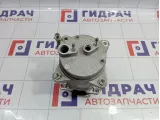 Компрессор кондиционера UAZ Patriot 316300813101050