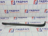 Накладка двери задней правая торцевая Volkswagen Golf Plus (Mk5) 5M0839374D9B9.