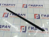 Уплотнитель стекла двери заднего правого Volkswagen Polo Sedan (Mk5) 6RU8394805AP