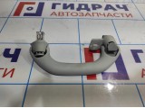 Ручка внутренняя потолочная задняя Volkswagen Polo Sedan (Mk5) 6RU857607CY20.