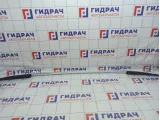 Рейлинг правый Volksvagen Tiguan (NF) 5N0860044GZAQ