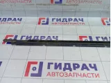 Молдинг стекла двери передней правой Volkswagen Golf 5M0837478B