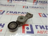 Ролик ручейкового ремня с кронштейном Volkswagen Golf Plus (Mk5) 06A903315F