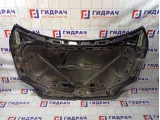 Капот Volkswagen Golf Plus (Mk5) 5M0823031F