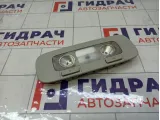 Плафон салонный Volkswagen Passat 3C0947291DY20