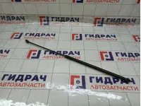 Амортизатор капота Volkswagen Passat 3C0823359A