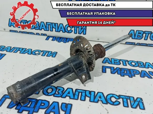 Амортизатор передний Volkswagen Passat B7 3AA413032.