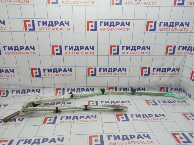 Подушка безопасности боковая (шторка) правая Volkswagen Passat B6 3C0880742D.