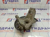 Кулак поворотный передний левый Volkswagen Passat (B6) 3C0407253F