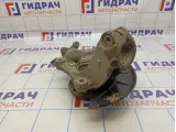 Кулак поворотный передний левый Volkswagen Passat (B6) 3C0407253F