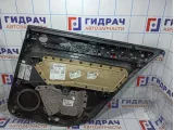 Обшивка двери задней левой Volkswagen Passat (B8) 3G5867211ACHQB