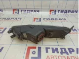 Фара противотуманная левая Volkswagen Passat (B8) 3G0941661H