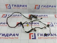 Проводка двери передней левой Volkswagen Passat CC 3C8971120BN