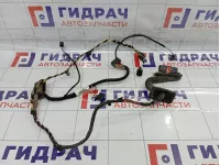 Проводка двери задней правой Volkswagen Passat CC 3C8971694CH