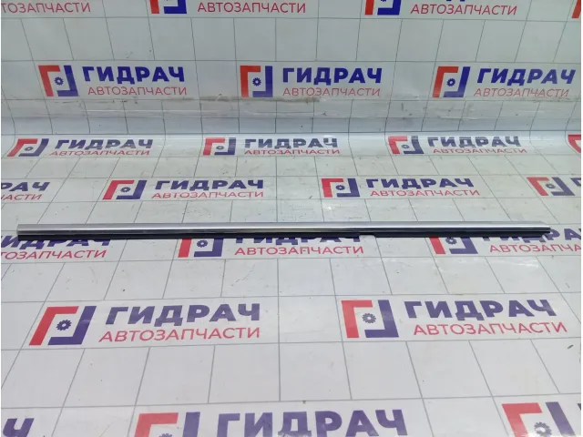 Молдинг двери задней правой Volkswagen Passat CC 3C8839476F