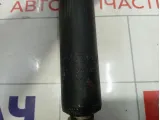 Амортизатор задний Volkswagen Passat CC 3C0513049CH