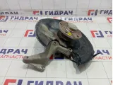 Кулак поворотный задний правый Volkswagen Passat CC 3C0505434K