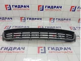 Решетка в бампер центральная Volkswagen Polo (MK5) 6RU853671RYP