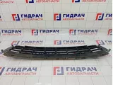 Решетка в бампер центральная Volkswagen Polo (MK5) 6RU853671RYP