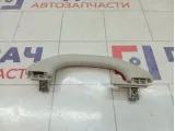 Ручка внутренняя потолочная Volkswagen Polo (MK5) 6RU857607CY20