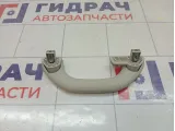 Ручка внутренняя потолочная Volkswagen Polo (MK5) 6RU857607CY20