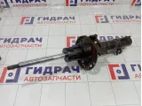 Амортизатор передний Volkswagen Polo 6RU413031B