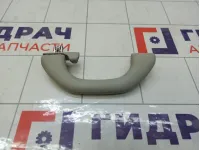 Ручка потолочная Volkswagen Polo 6RU857607CY20