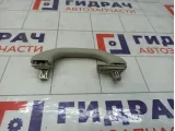 Ручка потолочная Volkswagen Polo 6RU857607CY20
