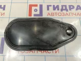 Заглушка двери задней правой Volkswagen Polo (Mk6) 5JA839916