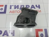 Дефлектор воздушный передний левый Volkswagen Tiguan 5N0819703AXVZ