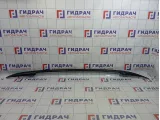 Рейлинг правый Volkswagen Tiguan (NF) 5N0860026H03C