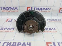 Кулак поворотный передний левый Volkswagen Tiguan (NF) 1K0407255AA