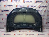 Капот Volkswagen Tiguan (NF) 5N0823031D